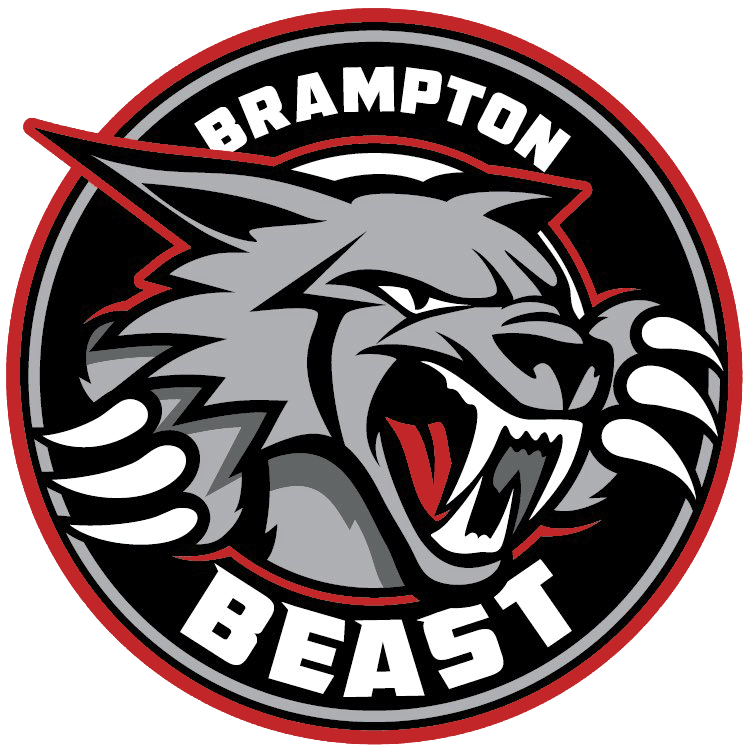 Brampton Beast 2019-Pres Primary Logo iron on transfers for T-shirts